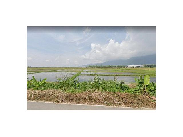 ขายที่ดินตำบลโป่งผา อำเภอแม่สาย จังหวัดเชียงราย พื้นที่ 141-3-82 ไร่
