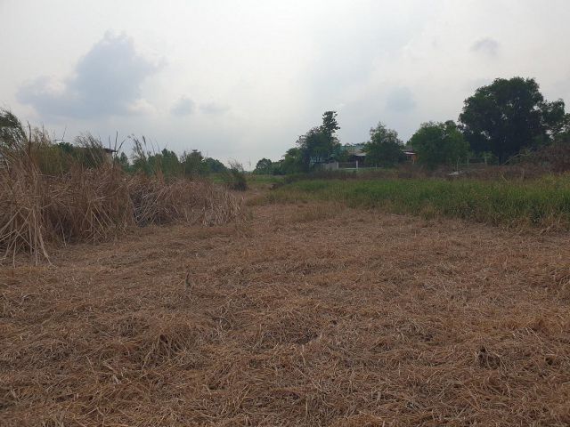 ขายที่ดิน คลองสาม, คลองหลวง ปทุมธานี หลังวัดธรรมกาย  พื้นที่ 25 ไร่