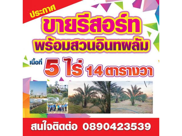 ขายรีสอร์ท จำนวน10 ห้องพร้อมที่ดิน 5 ไร่