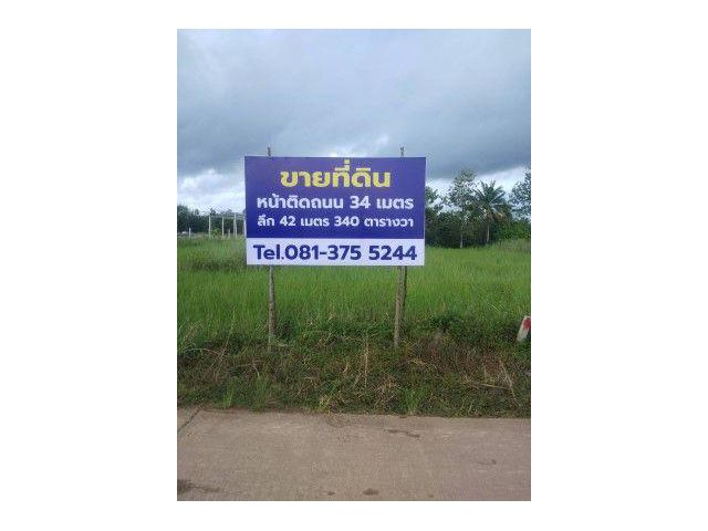 ขายที่ดินสวน ระยอง แกลง ใกล้ทะเลหาดแม่พิมพ์ 8 นาที ขนาด 120 และ 340 ตรว. (รวม1ไร่60วา)