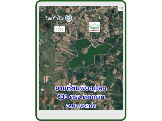 ขายที่ดินพิษณุโลก 233 ตรว.ติดถนน บางระกำ