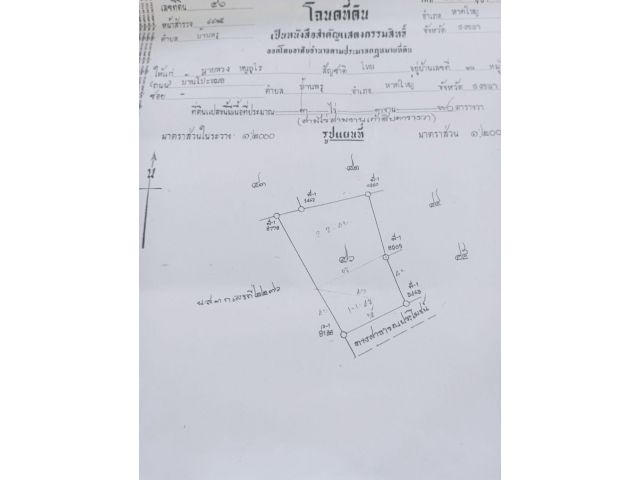 ที่ดิน 4 ไร่