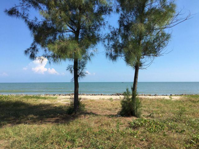 ที่ดินติดทะเลปึกเตียน3ไร่ ติดหาดเพชรรีสอร์ท หน้าหาดสวย