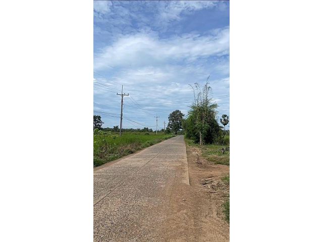 ขายที่ดิน 45 ไร่ ต.บ้านกล้วย อ.ชนแดน จ.เพชรบูรณ์