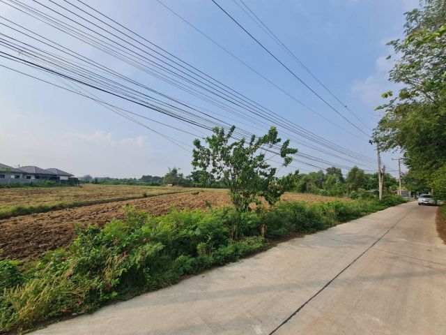 ขายที่ดินหัวสำโรง 11 ไร่ ติดถนน2ด้านเลียบคลองซอยวัดอ่าวช้างไล่ ใกล้นิคมเกตเวย์7กม. อ.แปลงยาว ฉะเชิงเทรา