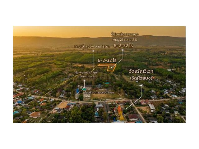 ขายที่ดินสวนยางพารา อำเภอพาน จังหวัดเชียงราย พร้อมทำประโยชน์ต่อได้ทันที