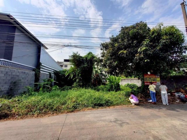 ขายถูกที่ดิน 111 ตรว ติดถนนคอนกรีตสาธารณะ  ถมแล้ว ซ.ติวานนท์-ปากเกร็ด 27 อ.ปากเกร็ด จ.นนทบุรี