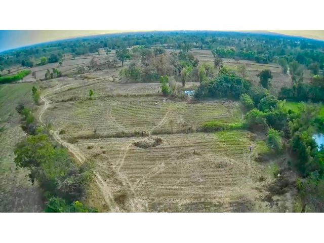 ขายที่ดิน | 22ไร่ 2งาน | ราคาเพียง 180k/ไร่ | ต.ตะคุ อ.ปักธงชัย จ.นครราชสีมา
