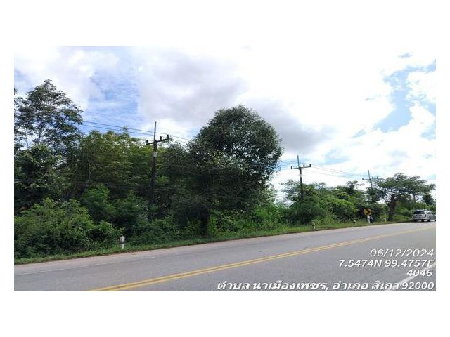 ขายที่ดิน 12-3-25 ไร่ ติดถนนสายตรัง-สิเกา(4046) นาเมืองเพชร