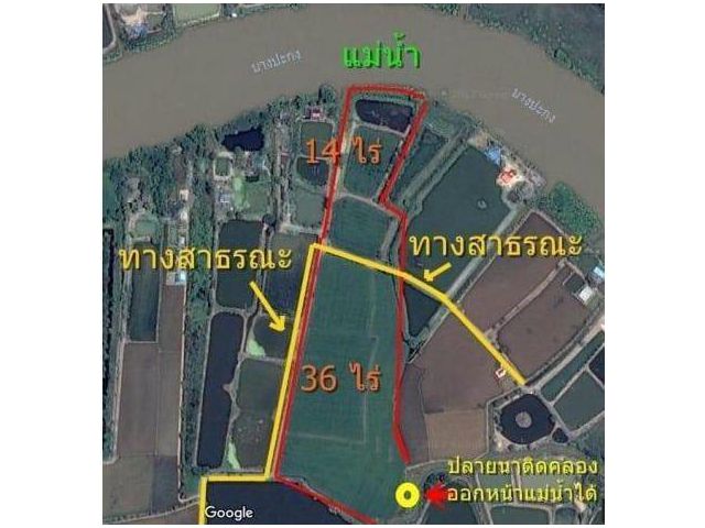 ที่ดินติดแม่น้ำบางปะกง 50 ไร่ ติดถนน 300 ม. หน้าน้ำ 100 ม. ไร่ละ 9.5 แสน ถูกมาก