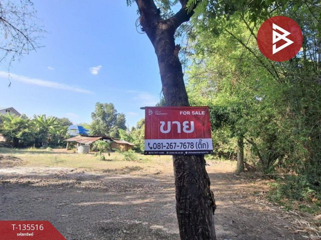 ขายที่ดิน เนื้อที่ 2 งาน 96 ตร.วา เหนือเมือง ร้อยเอ็ด