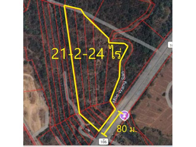 L652-ขายที่ดินเปล่า 21-2-24 ไร่ (ต.นครเจดีย์ อ.ป่าซาง จ.ลำพูน)