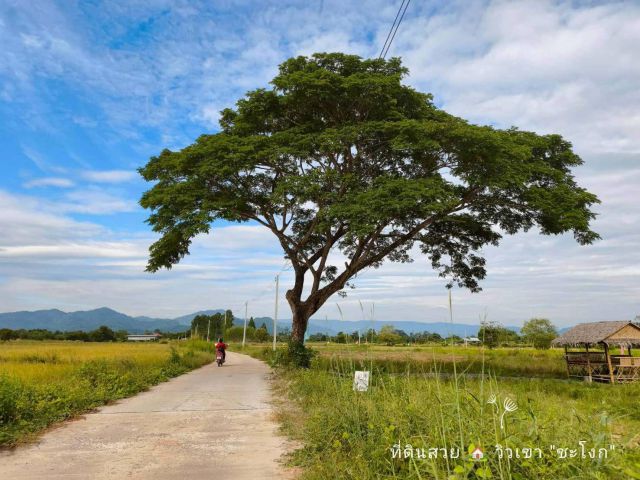 ขายด่วน..!! ที่ดินสวยวิวเขา 1 ไร่ (น้ำ-ไฟพร้อม) ใกล้จปร. อ.เมืองนครนายก