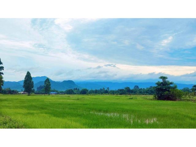ขายด่วน..!! ที่ดินสวยวิวเขา 100 ตรว.(ถมแล้ว) ใกล้จปร. อ.เมืองนครนายก
