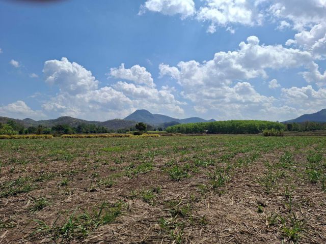 ที่วิวเขาสวยราคาถูกไร่ละ190000 โฉนดพร้อมโอน อ.ท่าลี่เหมาะกับบ้านพักตากอากาศ บ้านสวนมาก