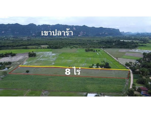 ขายที่ดินสวย 8 ไร่ วิวเขา อ.ลานสัก จ.อุทัยธานี