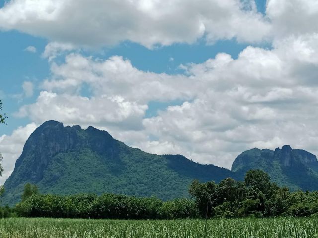 ที่สวยวิวเขาโฉนด 32 ไร่ อ.ภูกระดึง จ.เลย
