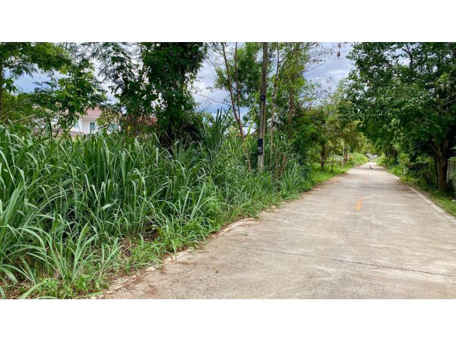 ขายที่ดิน 101 ตรว. ต.แม่เหียะ อ.เมืองเชียงใหม่ จ.เชียงใหม่