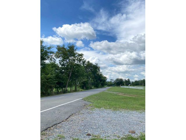 ขายที่ดิน 9 ไร่ ต.เนินขาม อ.เนินขาม จ.ชัยนาท