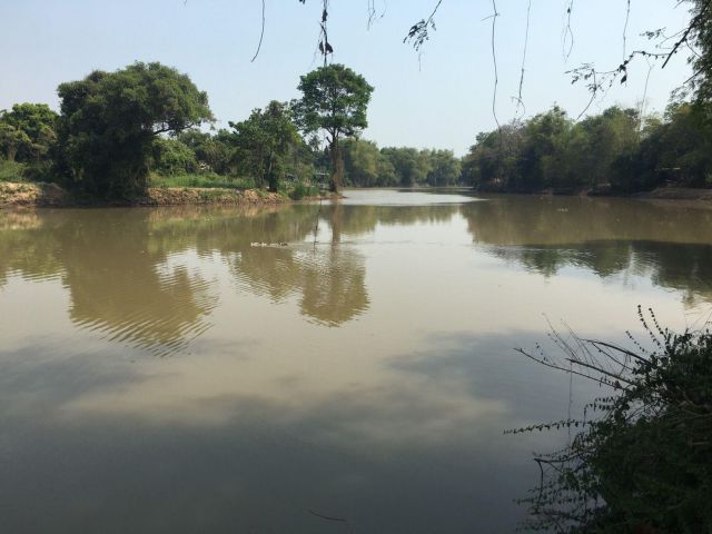 ขายด่วน ที่ดินติดริมแม่น้ำท่าจีน 742 ตรว.