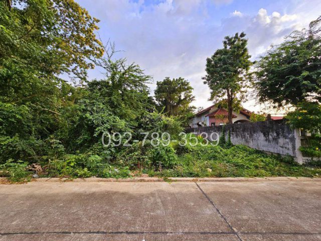 ขายที่ดินเมืองพิษณุโลก 378 ตร.วา ถ.ชัยบุรี1 ใกล้วัดอรัญญิก พิษณุโลก