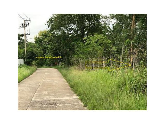 ืั้ที่ดิน ย่าน ชะอม เเก่งคอย สระบุรี ไร่ละ480,000 บาท