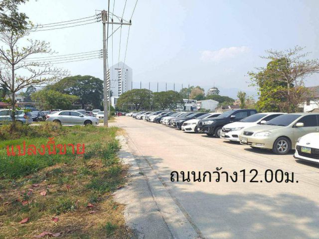 ขายที่ดินกลางเมือง ต.ช้างเผือก245ตร.ว.อยู่ถนนหมื่นด้ามพร้าคตซอย3 ข้าง ม.ราชภัฏเชียงใหม่(ผังเมืองสีแดง)สร้างอาคารสูงได้ ข