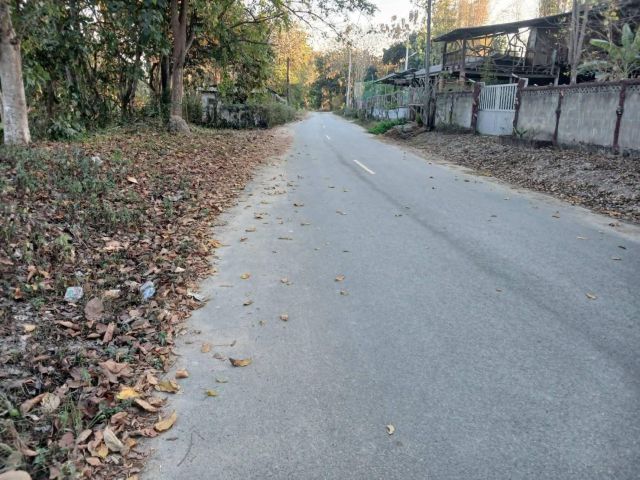 ขายที่ดินตำบลห้วยทรายแม่ริมหลังมหาวิทยาลัยราชภัฏเชียงใหม่