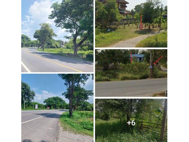 #*ขายที่ดินติดถนนใหญ่1317ใกล้สี่แยกป่าไผ่107ตารางวา.ใกล้โรงเรียนสันกำแพง ติดถนนใหญ่ขายถูกๆ
