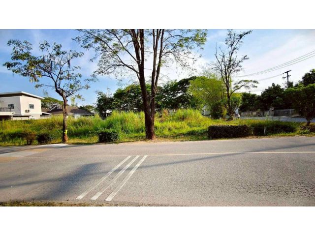 ขายที่ดินในโครงการวังตาลติดถนนโฉนดพร้อมโอน