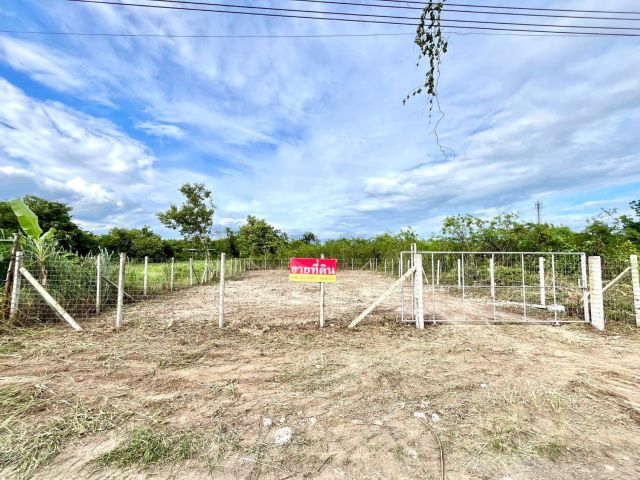 ขายที่ดิน 120 ตรว. ด้านหลังโรงเรียนสันป่าตองวิทยาคม