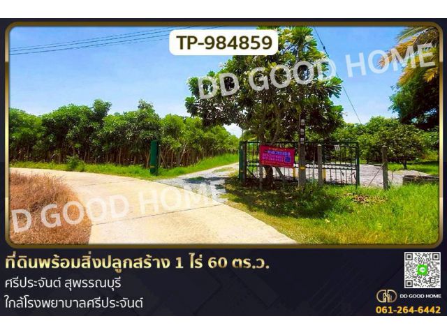 DD-984859 ที่ดินพร้อมสิ่งปลูกสร้าง 1 ไร่ 60 ตร.ว. ศรีประจันต์ สุพรรณบุรี ใกล้โรงพยาบาลศรีประจันต์