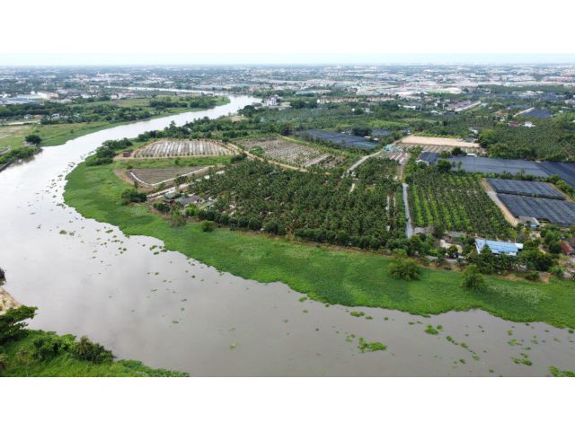 ขายที่ดิน 10 ไร่ ติดแม่น้ำท่าจีน ซอยวัดเทียนดัด-อ้อมใหญ่ อ.สามพราน จ.นครปฐม
