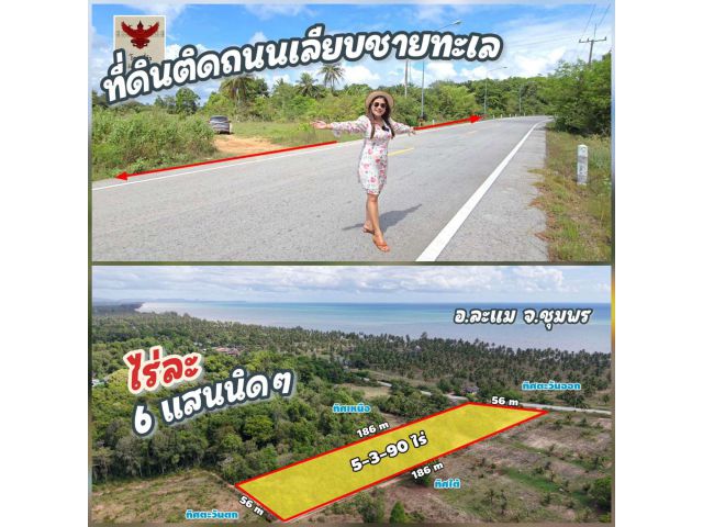 ╰┈►►ขายที่ดินติดถนนเลียบชายทะเล ราคาถูกสุดคุ้ม ️️️ ไร่ละ 6แสนนิดๆ ️️️ เดินไปชายหาดได้เลย