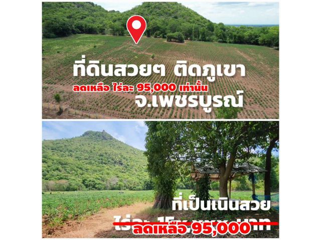 ╰┈►►ขายไร่ละ95,000 ที่ดินเนินเขา ถนนคอนกรีตน้ำไฟ จ.เพชรบูรณ์ ลดราคาพิเศษ