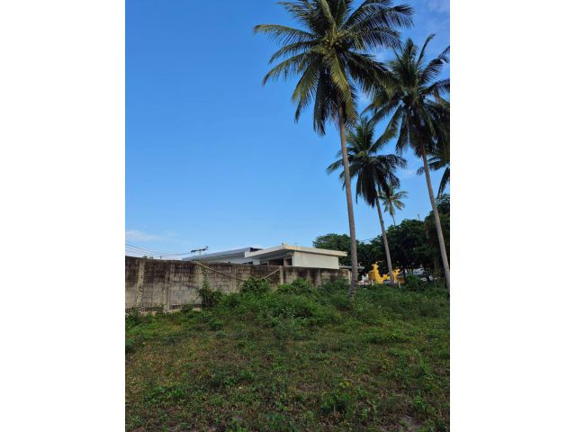 Land for lease Koh Samui 1,600 sqm. near by the ville