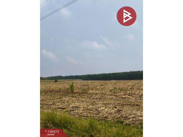 ขายที่ดิน เนื้อที่ 8 ไร่ 2 งาน 82.2 ตร.วา บ่อทอง ชลบุรี