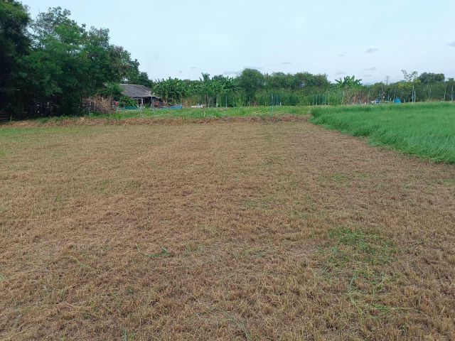 ขายที่ดินเปล่า 110ตร.วา