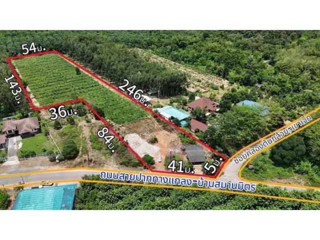 ขายสวนยางพร้อมบ้านหลังเล็กยางอายุ2ปีเนื้อที่7ไร่1งาน43ตรว.ขายราคาไร่ละ600.000บ.