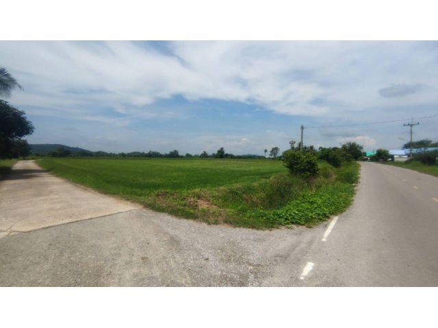 ขายที่ดิน 16 ไร่ ใกล้วัดเขาช่องพราน ถ้ำค้างคาว ต.เตาปูน อ.โพธาราม จ.ราชบุรี