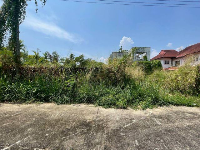 ขายด่วน! ที่ดินแปลงมุมสุดท้าย ทำเลทอง ใกล้มีโชคพลาซ่า เชียงใหม่ (สันทรายน้อย)