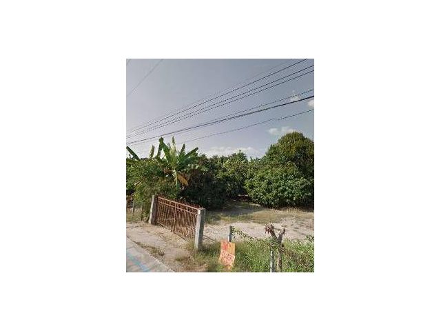 ขายที่ดินพร้อมสวนลำไย ถ.ท่าศาลา อ.จอมทอง จ.เชียงใหม่ เนื้อที่8ไร่