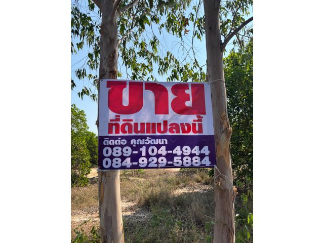 ขายที่ดิน สวนยูคา พร้อมสิ่งปลูกสร้าง
