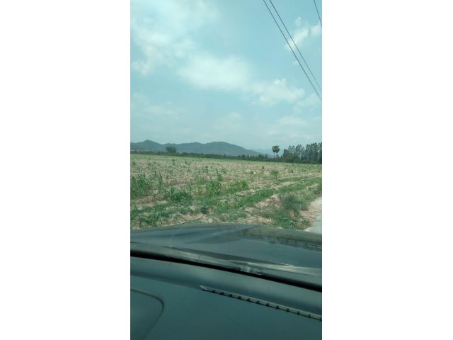 ด่วน.โฉนดครุฆแดง..3ไร่ติดถนน.ขายร่ละ120,000.เหมาะทำาสวน..การเกษตร