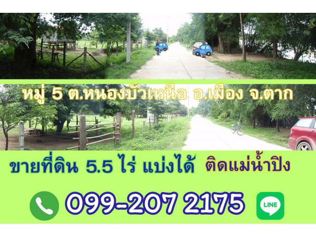 ขายที่ดิน 5.5 ไร่ แบ่งได้ ติดแม่น้ำปิง ตำบลหนองบัวเหนือ อ.เมือง จ.ตาก ใกล้สะพานข้ามแม่น้ำปิงแห่งใหม่