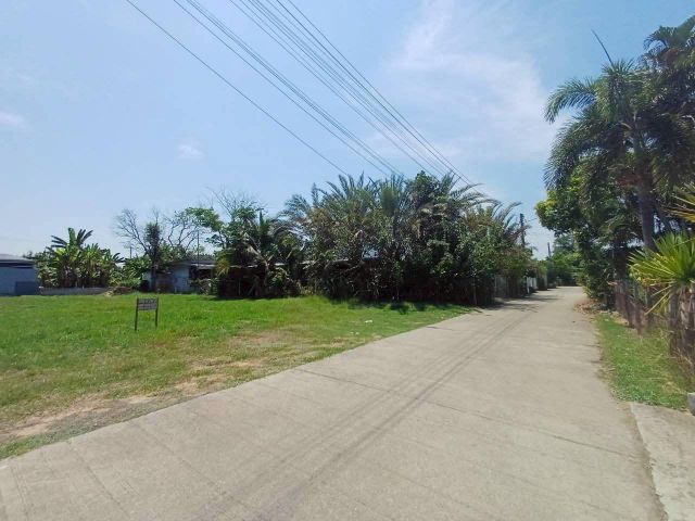 ขายที่ดินบ้านตำหนักดอนแก้วสารภีติดถนนพร้อมโอน