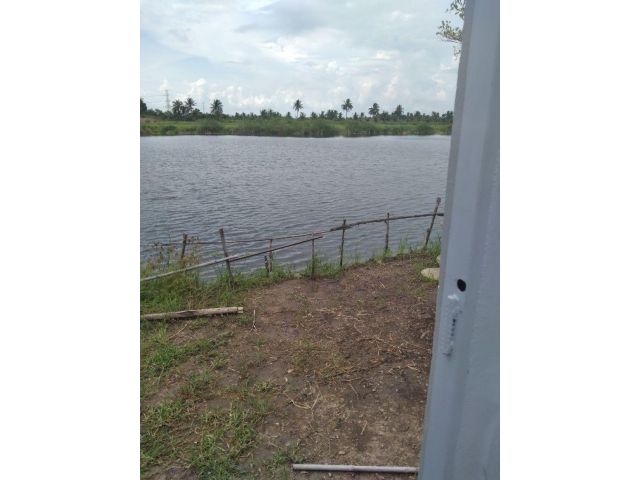 ■□■□■□ขายบ้านติดน้ำ ที่ดิน 80 ตร.ว2 ห้องนอน/ 1 ห้องน้ำ/ #วิวด้านหลังติดบ่อน้ำใหญ่ บรรยากาศดี ลมเย็นสบาย แหล่งชุมชน■□■□
