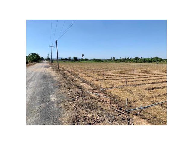 ที่ดินผืนใหญ่ทำเลดี10ไร่ โฉนดครุฑแดงพร้อมโอน ใกล้เทศบาลวังศาลา ท่าม่วง เข้าออกได้หลายทาง ติดถนนสาธารณะ ใกล้ทางด่วนM81 วิวสวย บรรยากาศดี