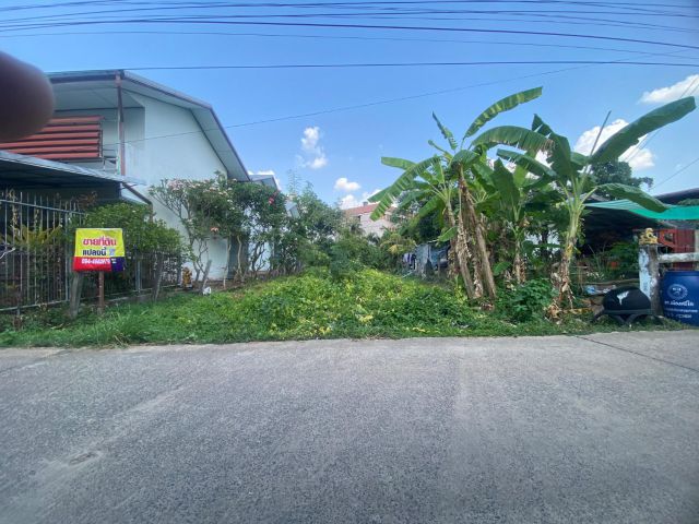 ขายที่ดินใกล้ๆมออุบลราชธานี
