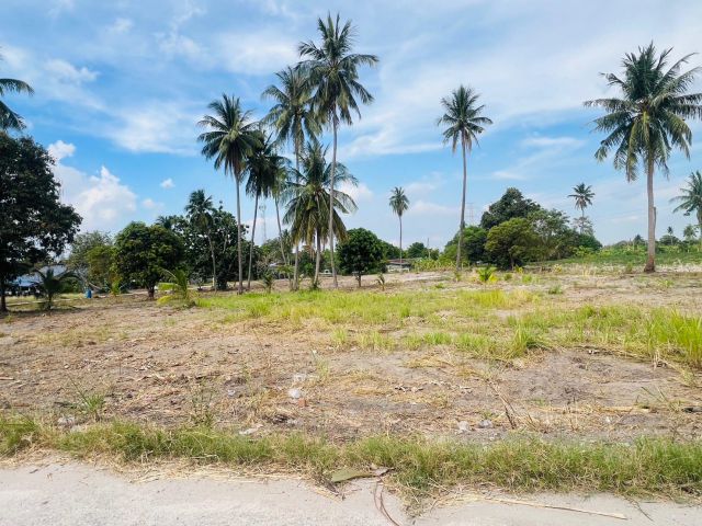 ขายที่ดินแปลงสวยไม่ต้องถม 3 ไร่เศษ ต.หนองรี อ.เมือง จ.ชลบุรี ใกล้โรงเรียนบ้านช่องมะเฟือง ใกล้นิคมอมตะนคร